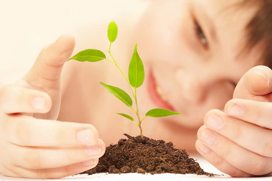 Image for Kids and Science and Nature